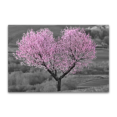 Black & White Pink Blossom Heart Canvas Wall Art Picture Print. Cherry Tree Love