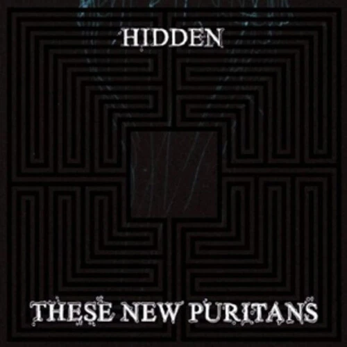 These  Puritans - Hidden- CD