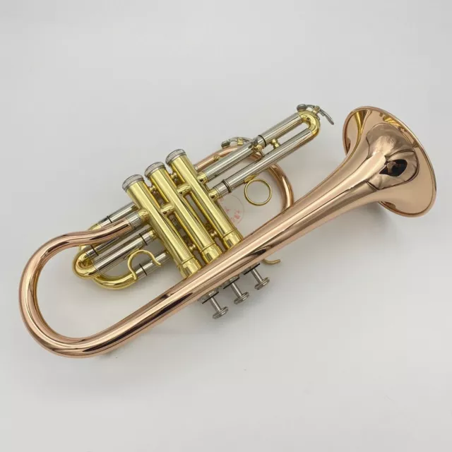 Cornet para principiantes aprendiendo a tocar con buena calidad de sonido - nuevo y de alta calidad