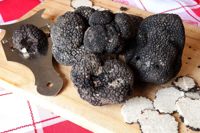 Precious Italian fresh black truffles. Black truffle 255g. 9.0 oz. Mushrooms.
