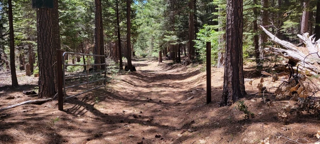 Enchanting Wooded +/- 100 Acres in Northern California.  NICE BIG TREES.