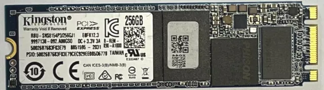 128GB 256GB Kingston PCIe Gen 3 NVME m.2 2280 internal SSD