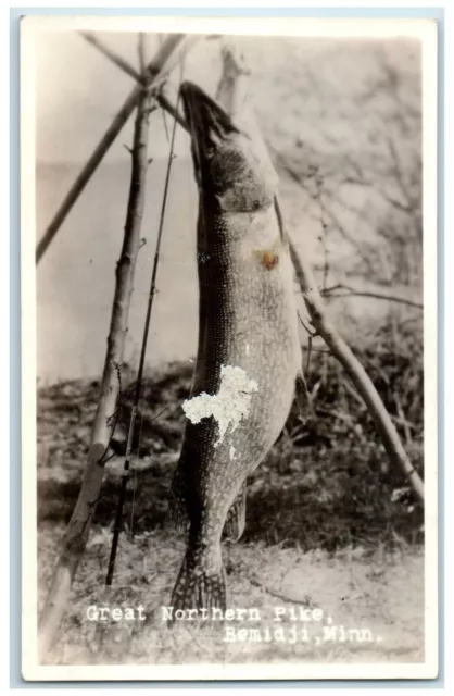 c1940's Great Northern Pike Bemidji Minnesota MN RPPC Photo Vintage Postcard