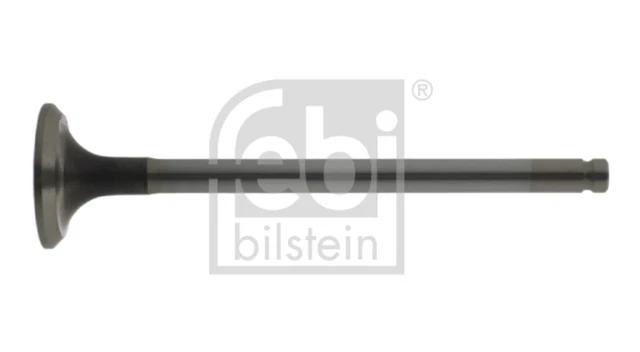 Sabot D'Inhibition Febi Bilstein 17774 - Poignée Intérieure, Plastique, Pour Camions