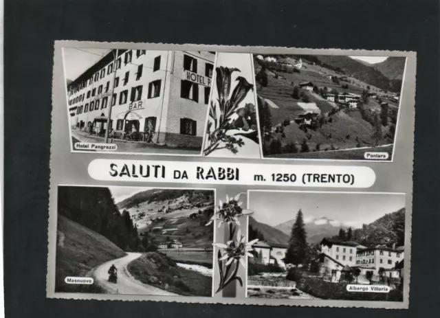 Cartolina Rabbi Trento Vedutine Saluti Da Fg Vg 1961