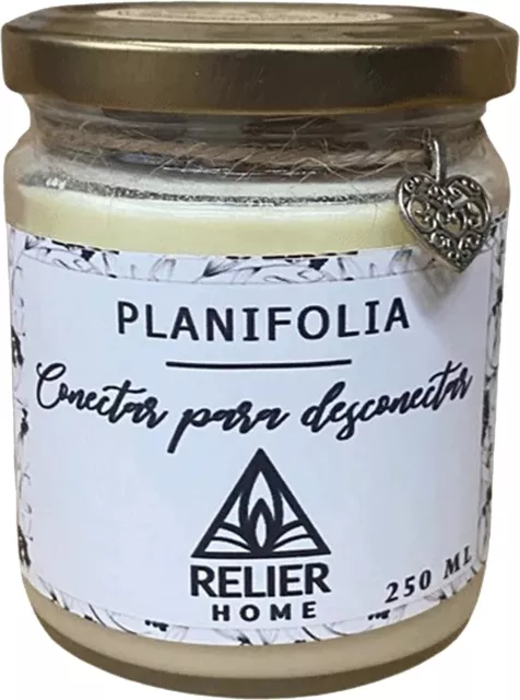 Vela Natural de cera de soja 100% ecológica y vegana Aroma vainilla y mandarina