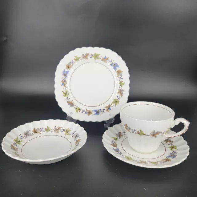 J&G Meakin Woodland Teacup Saucer Fruit Bowl Snack Plate 5 Pc Classic White