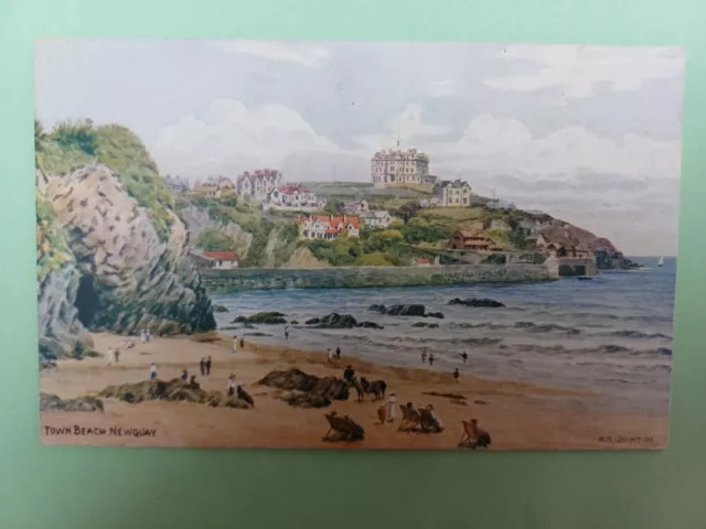 Post Card Salmon Ar Quinton 2176 Town Beach, Newquay Cornwall