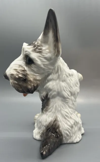 Vintage Rosenthal Germany Porcelain Figurine Scottish Terrier 1930's Signed #684 2
