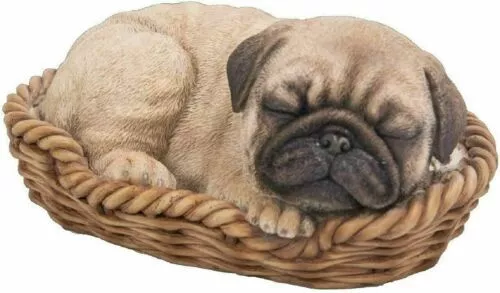 Pug Puppy in a Basket Figurine/Ornament by Pet Pal by Vivid Arts