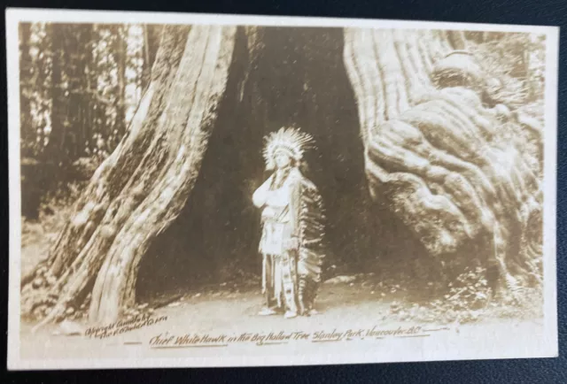 Mint Usa RPPC Postcard Native Americana Indian Chief White Hawk