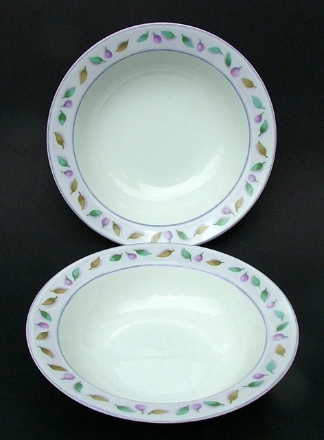 TWO Marks and Spencer Berries & Leaves Rim Cereal Dessert Bowls 18cm Excellent