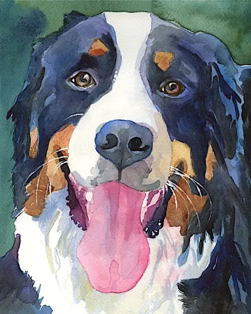 Bernese Mountain Dog Art PRINT from Painting | Berner Gifts, Poster 8x10