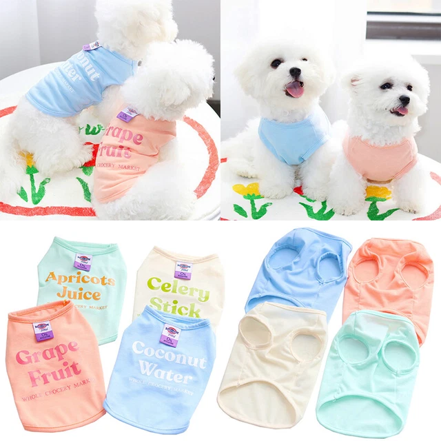 Gilet per animali domestici gilet con lettere gilet per cani gilet per il tempo libero stampato casual E E