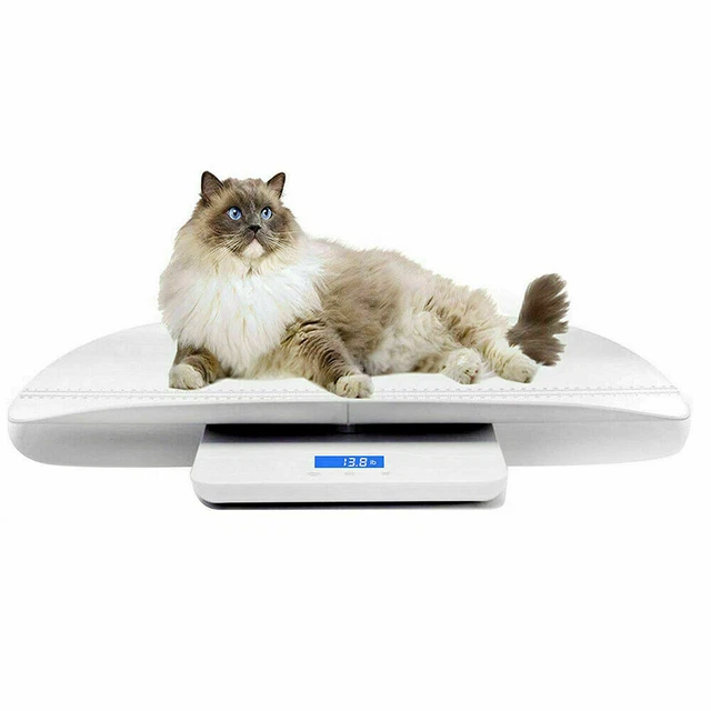 Scale Digital LCD Electronic Body Pet Puppies Kittens Scales 3 Weighing Modes