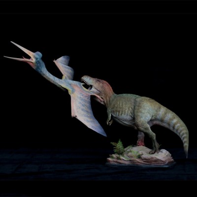 Figurine Camarasaurus Safari Ltd : un jouet de dinosaure herbivore Figurine Camarasaurus Safari Ltd : un jouet de dinosaure herbivore