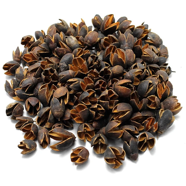 Bakuli Früchte natur, 1kg Beutel 18-30mm, Trockenfrüchte, Bastelfrüchte