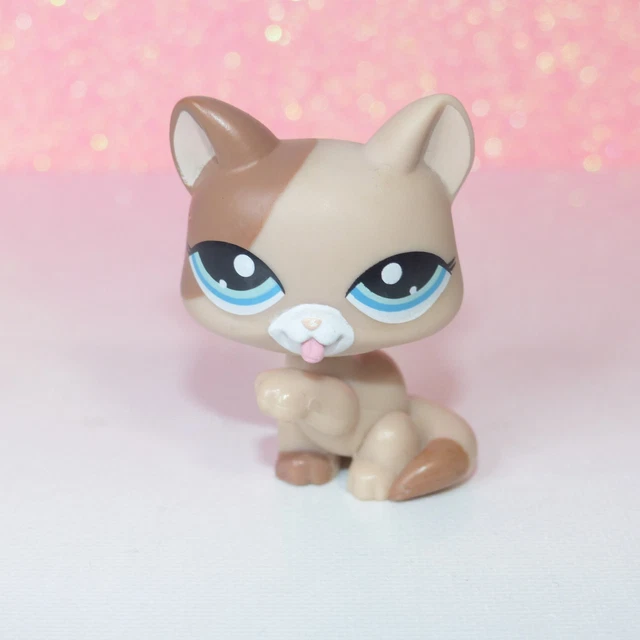 Authentique LITTLEST PETSHOP LPS# 05 Chat Européen En