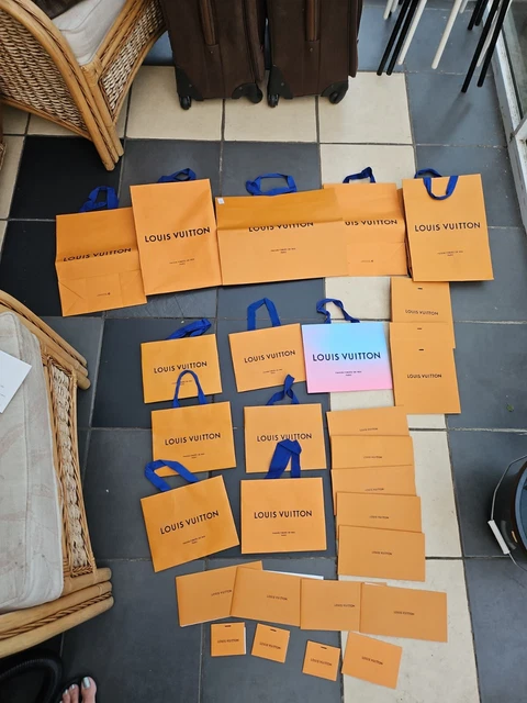 Louis Vuitton Carriers Bags And Paperwork Holders