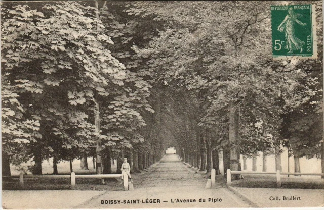 CPA BOISSY - St-LEGER - L'AVENUE DU PIPLE (146881)