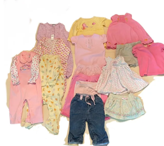 Lot of 15 Pieces Baby Girl Infant Clothes 6-9 Months Gap, Carters, Fisher Price