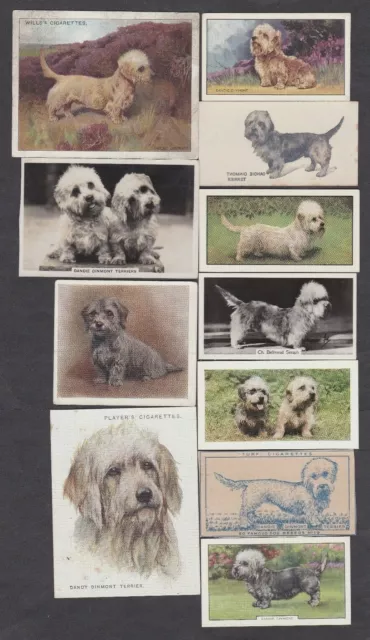 18 Different Vintage DANDIE DINMONT TERRIER Tobacco/Cigarette Dog Cards Lot