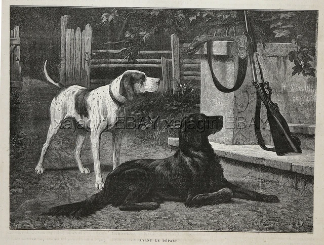Dog Flat-Coated Retriever & Foxhound Wait to Go Hunting, 1880s Antique Print