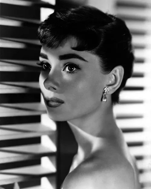 1954 Movie Film Actress AUDREY HEPBURN Glossy 8x10 Photo 'Sabrina' Print Poster