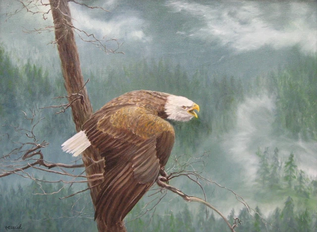 Hand Copy of Robert Bateman's "The Air, The Forest and The Watch" Eagle