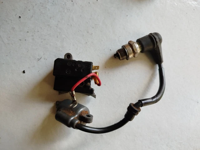 ASSEMBLAGE BOBINE DE Module D'allumage Robuste Pour Tronçonneuse POUR