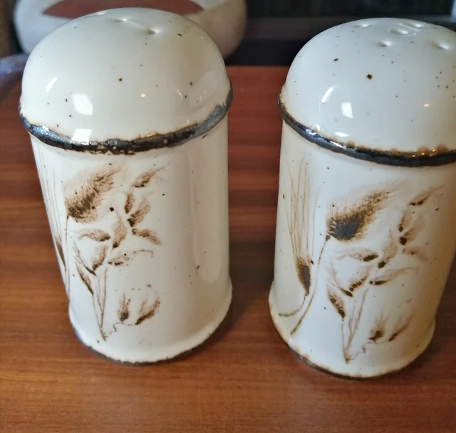 Midwinter Stonehenge Wedgwood Wildhafer Salz Pfeffer Set 70er Jahre Vintage Steinzeug