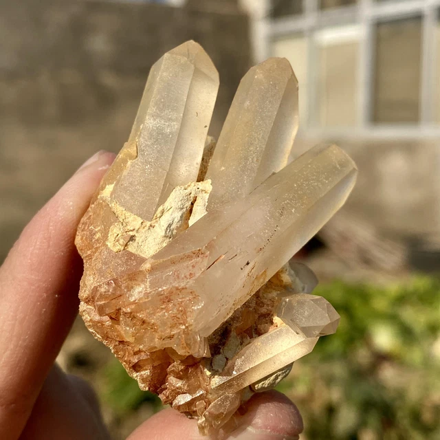 59G Natural Citrine cluster mineral specimen quartz crystal healing.