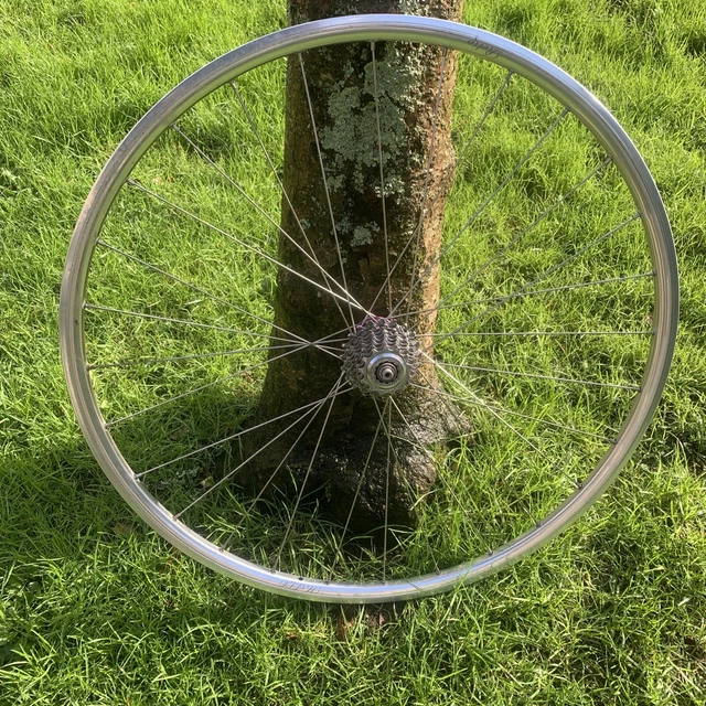 Hope Moyeu Arrière - Pro 5 - Centerlock - 12x142mm | Shimano HG - noir