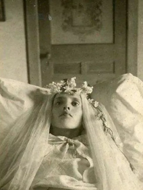 Antique Post Mortem Casket Photo 218b Oddleys Strange & Bizarre