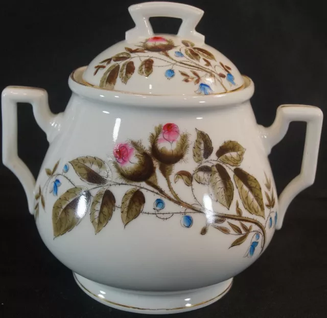 German Porcelain Hand Colored Moss Rose & Butterfly Sugar Bowl Circa 1870 - 80s