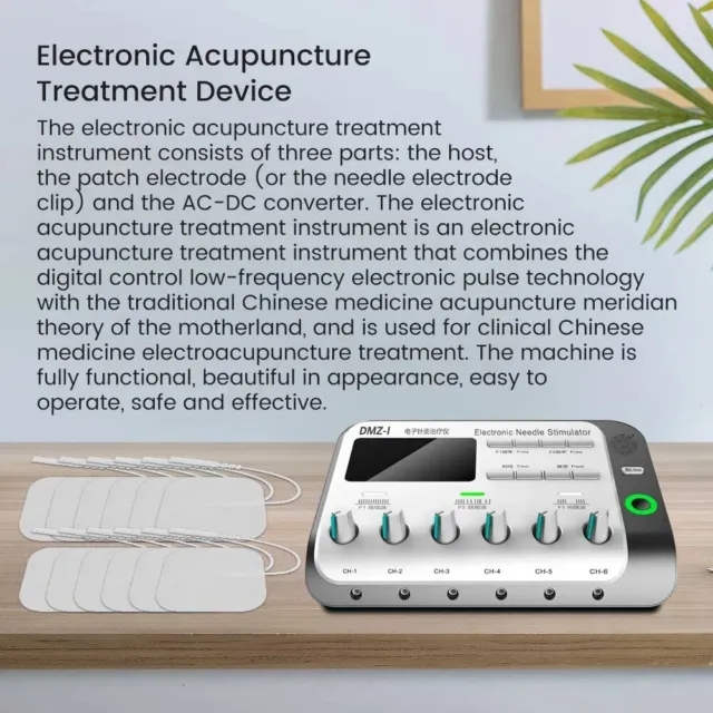 6 Output Electric Electroacupuncture Acupuncture Needle Body Muscle Stimulator P