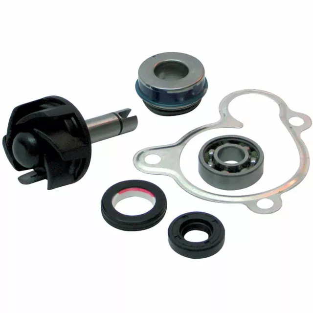 Turbine Overhaul Kit Water Pump H2O BCR Aprilia 250 Leonardo 1999-2001