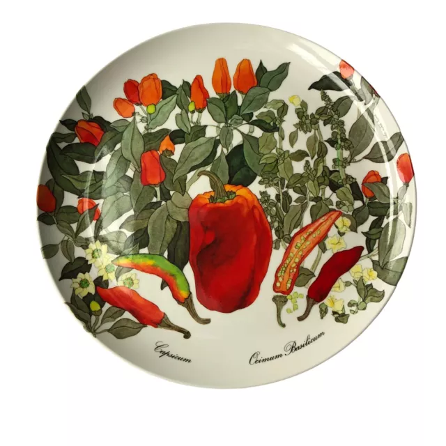 RDE Import Inc. Made in Italy Melamine Round Platter Plate Capsicum 12.25 Inches