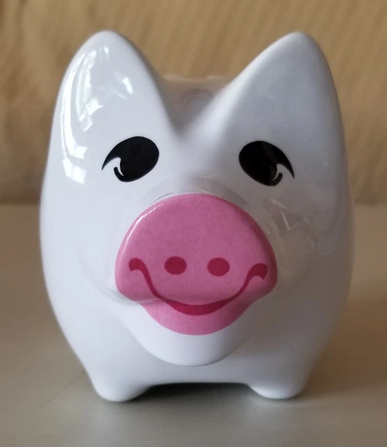 Flower Fairies Collection Frederick Warne Reutter Porcelain Piggy Bank 1998