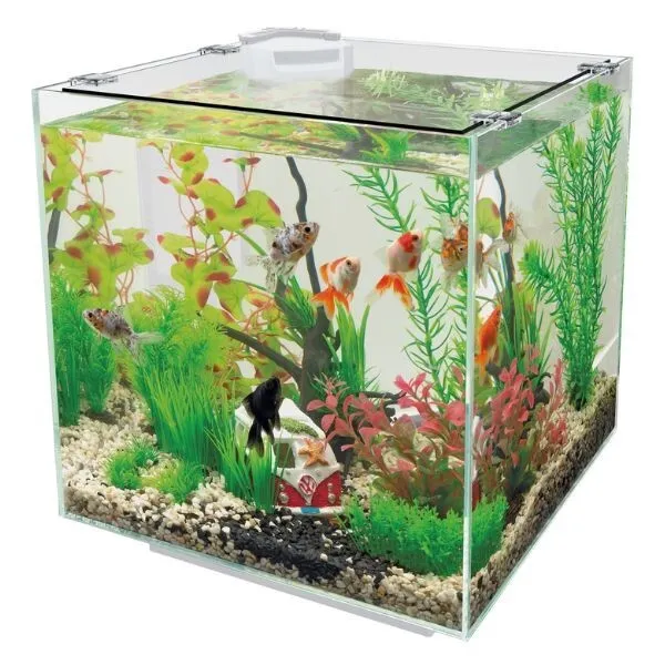 Superfish Qubiq 30L Nano Cube Aquarium/Fish Tank with Filter - White #1P7