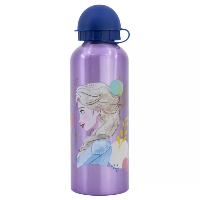 Bottiglia In Alluminio Per Bambini Da 530 Ml Frozen Trust The Journey