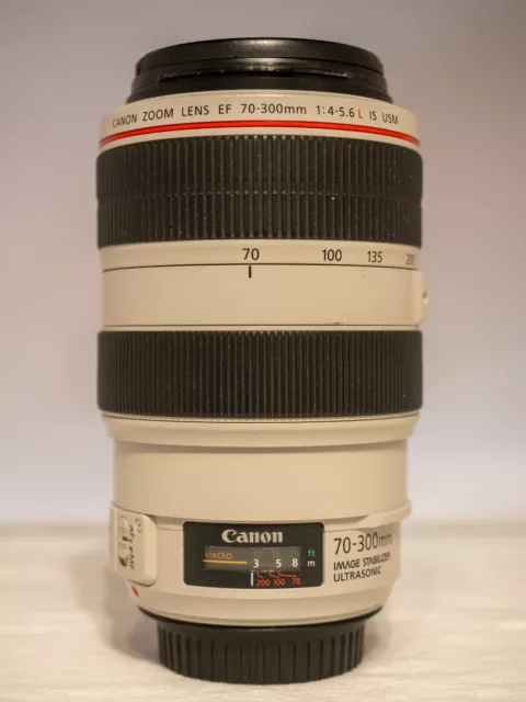 Canon EF 70-300mm f/4-5.6 L IS USM