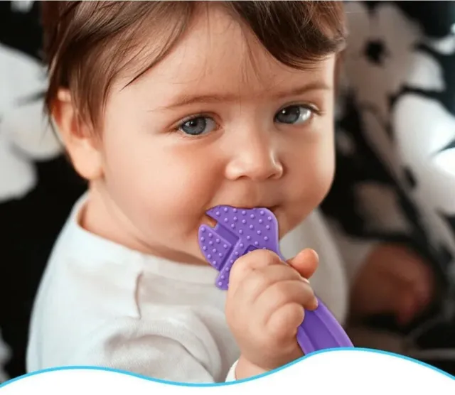 Baby Teether Teething Toys Set Bundle Ring Tool Toddler 4 X BPA FREE Christmas