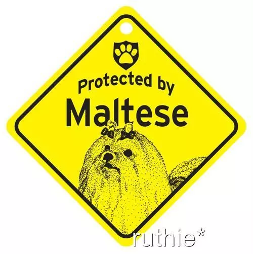 Protected by Maltese Dog Window Sign Made in USA  5 1/2 x 5 1/2