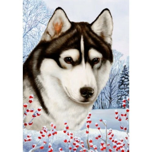 Winter House Flag - Brown-Eyed Black and White Siberian Husky 15038
