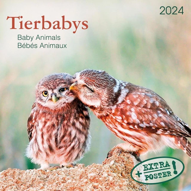 TIERBABYS 2024 KALENDER 2024 Kalender Artwork Edition Drahtheftung 28 S