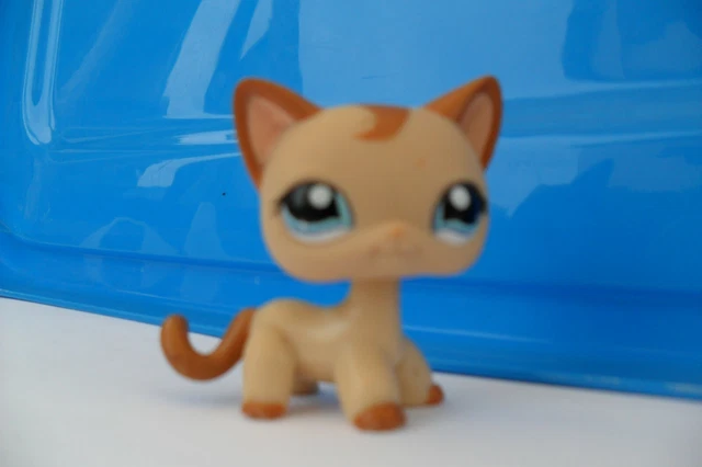 PETSHOP CHAT Europeen Voir Photo Et Description EUR 5,00 - FR