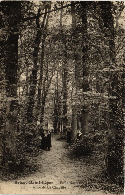 CPA AK BOISSY-St-LIGHT - École Normale - Alée de la Chapelle (659309)