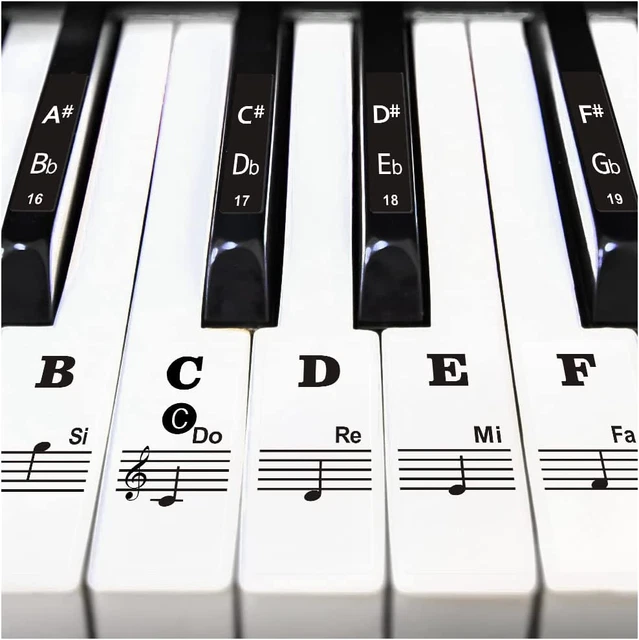 PIANO KEYBOARD STICKERS for 37/49/54/61/88 Key Removable Keyboard