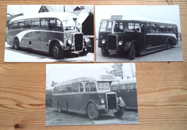 BUS PHOTOS x 3 SILCOX PEMPROKESHIRE WALES